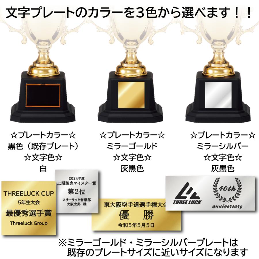 樹脂製 カップ CP-4208 Cサイズ【文字代無料】ゴールドシャチ