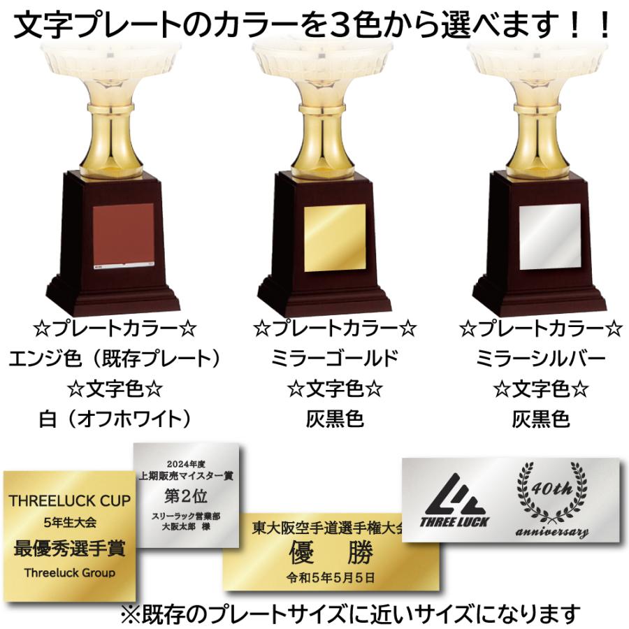 JC-2616B トロフィー 高さ570mm 優勝カップ 卒団 卒業 記念品 野球