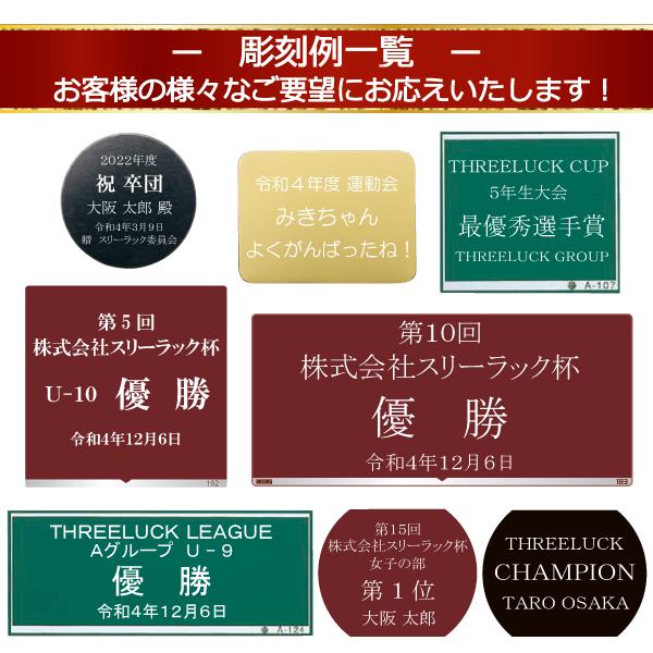 ガラス楯 KV-7420 Aサイズ〜Eサイズ【文字代無料】 表彰 樹脂レリーフ