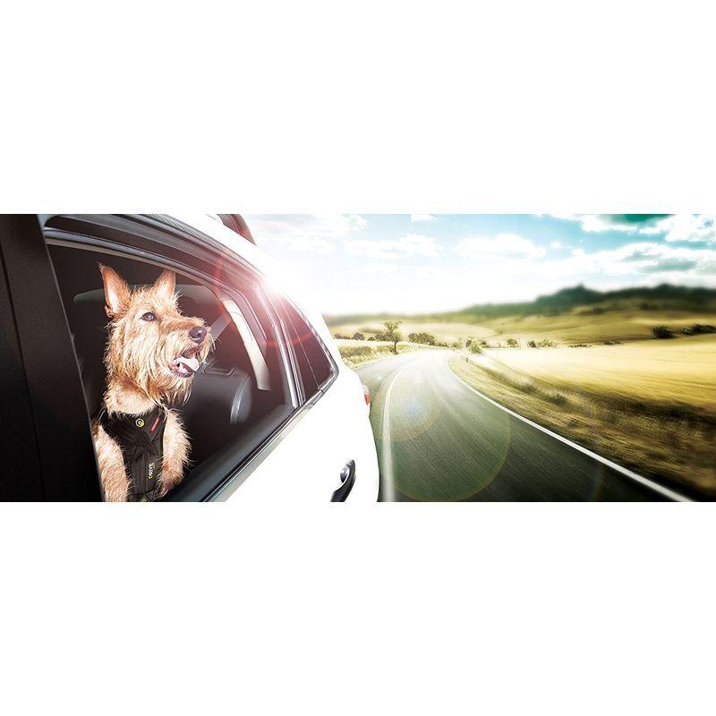 ★動作確認済み EZYDOG(イージードッグ) 正規代理店品 ドライブハーネス 中型犬用 M サイズ 【G2054267413】(12558円)