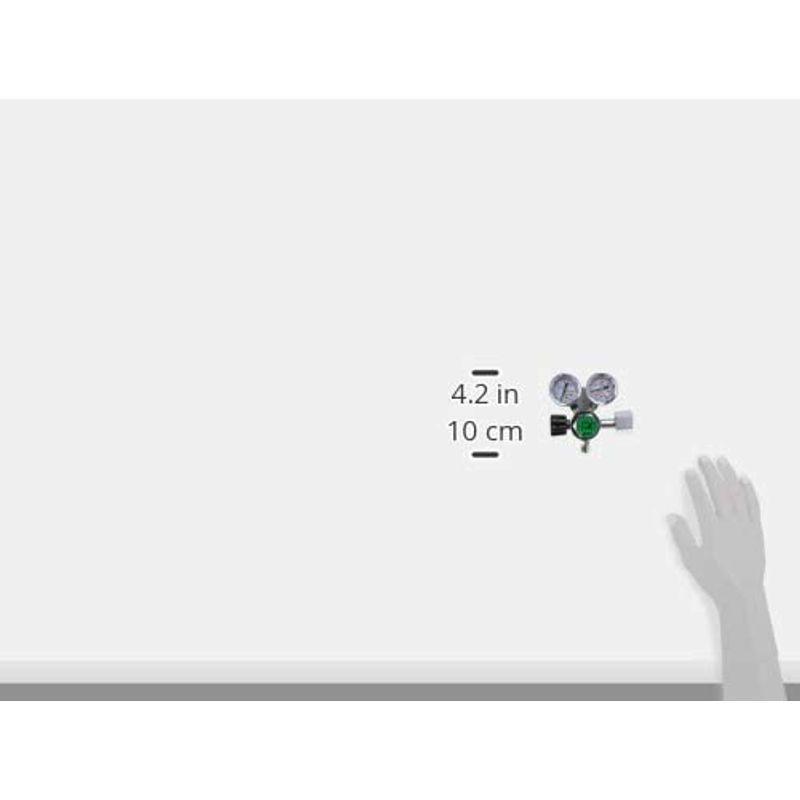 新作マット・カーペット ライフホールディングス 大型ボンベ用CO2電磁弁付コントローラー 【B2109355334】(12895円)