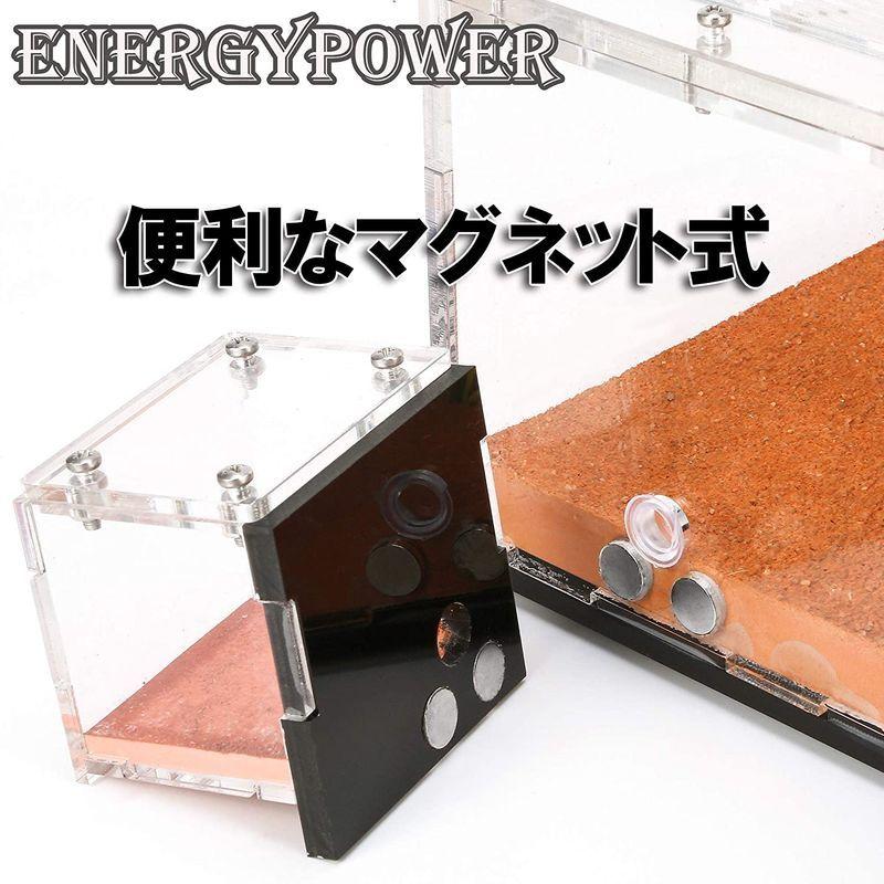 ハイグレードEnergyPower モルタル製アリ巣箱 平面タイプ 蟻活動スペース/給水器/エサ場付き 土やゲルを使用しないので腐らず清潔 モルタル製アリ巣箱 平面タイプ 蟻活動スペース/給水器/エサ場付き 土やゲルを使用しないので腐らず清潔