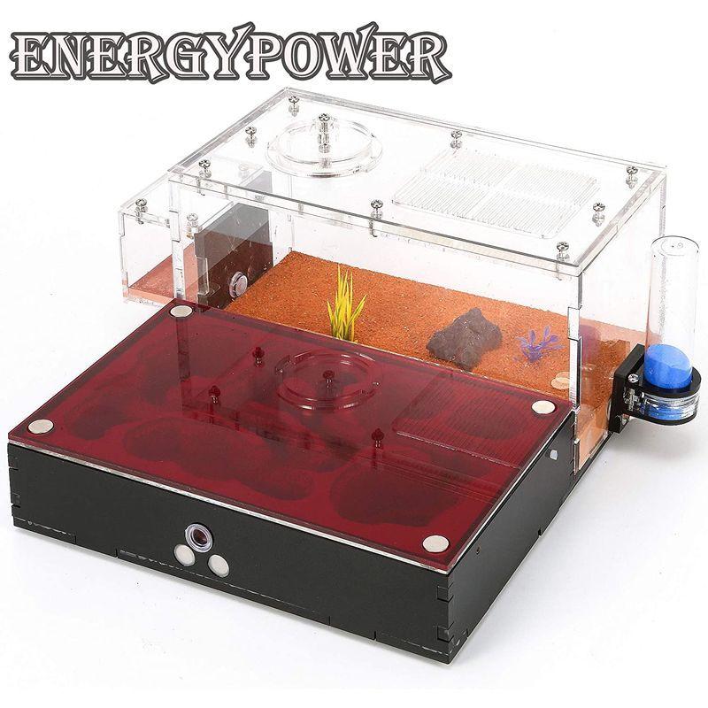 ハイグレードEnergyPower モルタル製アリ巣箱 平面タイプ 蟻活動スペース/給水器/エサ場付き 土やゲルを使用しないので腐らず清潔 モルタル製アリ巣箱 平面タイプ 蟻活動スペース/給水器/エサ場付き 土やゲルを使用しないので腐らず清潔