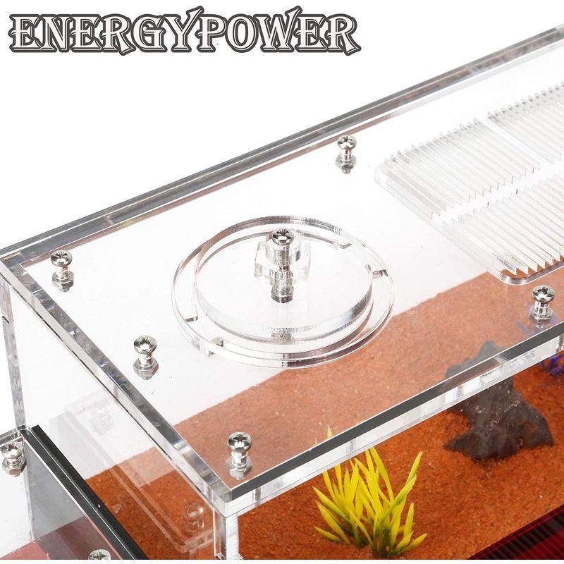 ハイグレードEnergyPower モルタル製アリ巣箱 平面タイプ 蟻活動スペース/給水器/エサ場付き 土やゲルを使用しないので腐らず清潔 モルタル製アリ巣箱 平面タイプ 蟻活動スペース/給水器/エサ場付き 土やゲルを使用しないので腐らず清潔