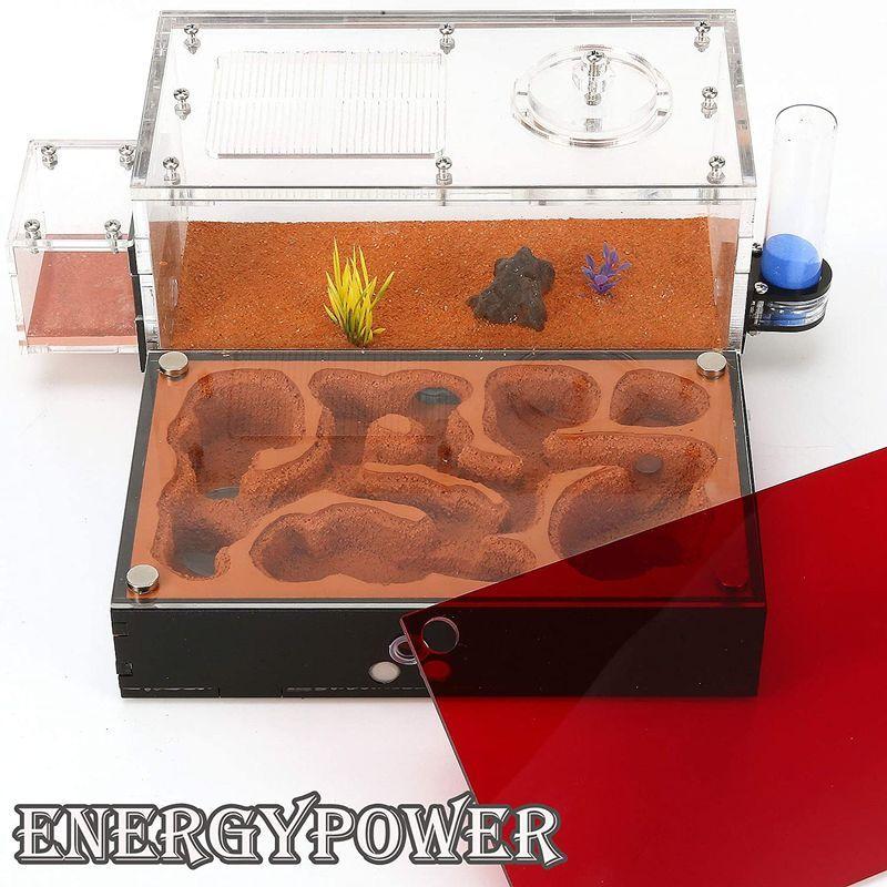 ハイグレードEnergyPower モルタル製アリ巣箱 平面タイプ 蟻活動スペース/給水器/エサ場付き 土やゲルを使用しないので腐らず清潔 モルタル製アリ巣箱 平面タイプ 蟻活動スペース/給水器/エサ場付き 土やゲルを使用しないので腐らず清潔