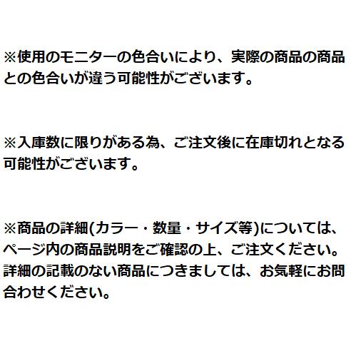 スノーピーク(snow peak) タープ リビングシェル ロング Pro. インナー