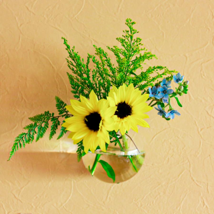 メーカー直売 花瓶 ガラス おしゃれ 小さい 壁掛け 一輪挿し フラワーベース 花器 コンパクト 手軽る 壁 涼しげ インテリア 水耕栽培 プレゼント Aynaelda Com