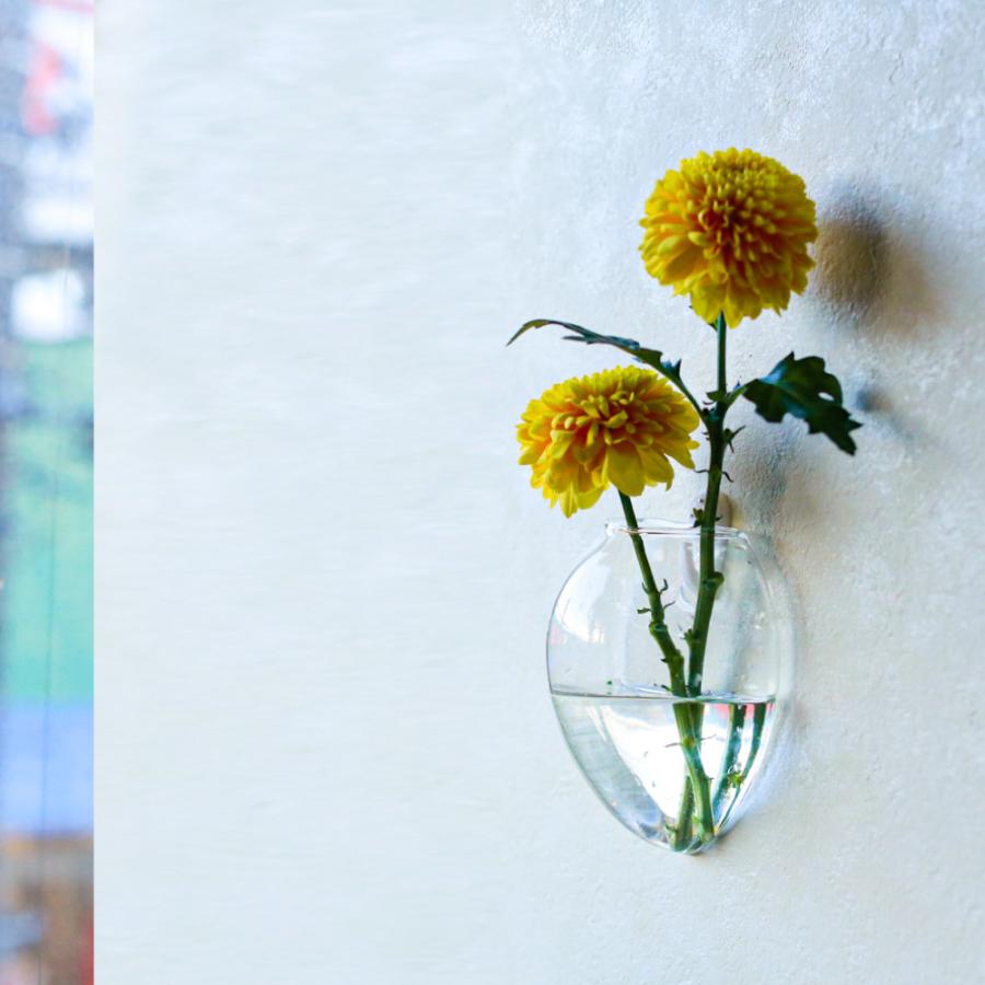 メーカー直売 花瓶 ガラス おしゃれ 小さい 壁掛け 一輪挿し フラワーベース 花器 コンパクト 手軽る 壁 涼しげ インテリア 水耕栽培 プレゼント Aynaelda Com