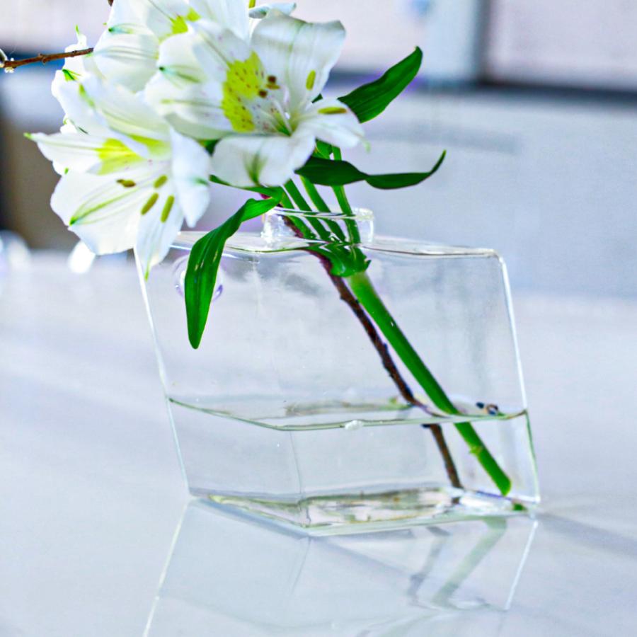 花瓶 ガラス おしゃれ 小さい 壁掛け 一輪挿し フラワーベース 花器 コンパクト 手軽る 壁 涼しげ インテリア 水耕栽培 プレゼント Kabekake Ka Sun Leaves 通販 Yahoo ショッピング