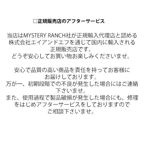 国内正規販売店 MYSTERY RANCH ミステリーランチ Gallagator 15 19761601 ギャラゲーター15 ユニセックス リュック 軽量 日常使い ハイキング ランニング 正規品の画像