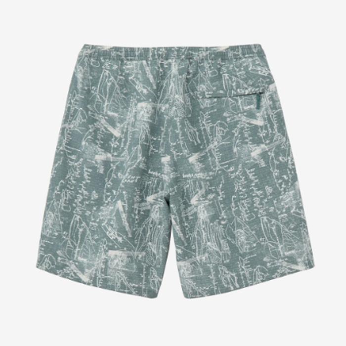 THE NORTH FACE（ザ ノースフェイス） THE NORTH FACE Aloha Rip Short
