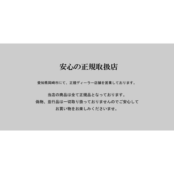 NANGA ナンガ NORTHERN LIGHTS DOWN JACKET ND2441-1A405 ノーザンライト ダウンジャケットジャケット メンズ 正規取扱店の画像