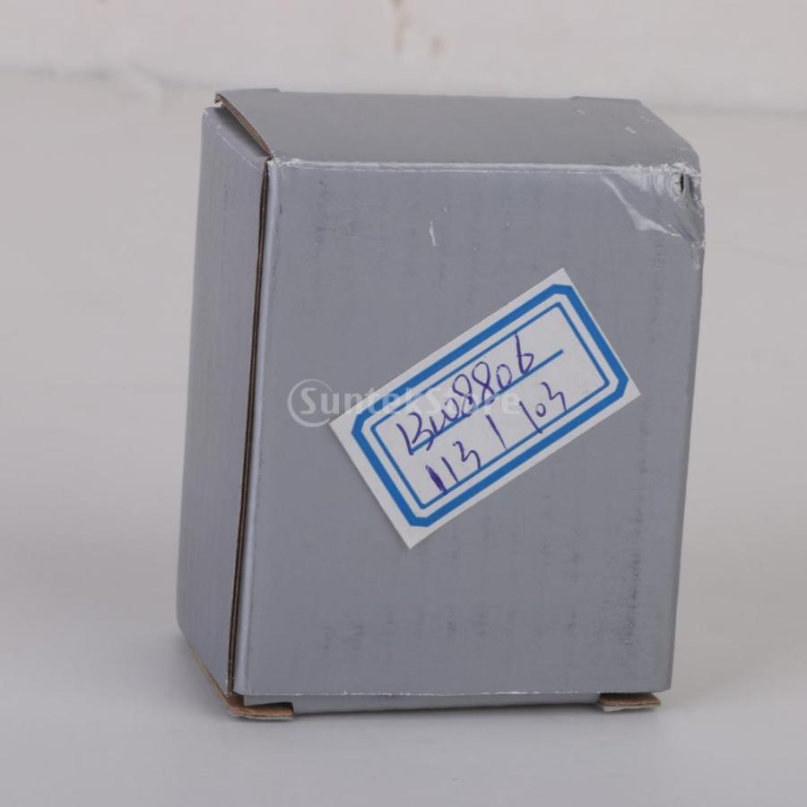 ジュエリーボックス アクセサリー箱 ゴシック銅狼ヘッドのペンダント