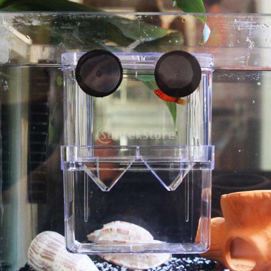 ノーブランド品 アクアリウム 水槽用 孵化 インキュベーター フローティング 稚魚 トラップ 飼育箱 Stkショップ 通販 Yahoo ショッピング