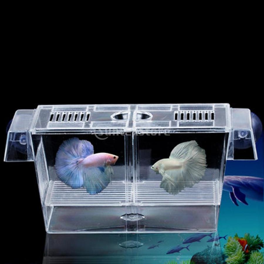ノーブランド品 アクアリウム 水槽用 孵化 インキュベーター フローティング 稚魚 トラップ 飼育箱 Stkショップ 通販 Yahoo ショッピング
