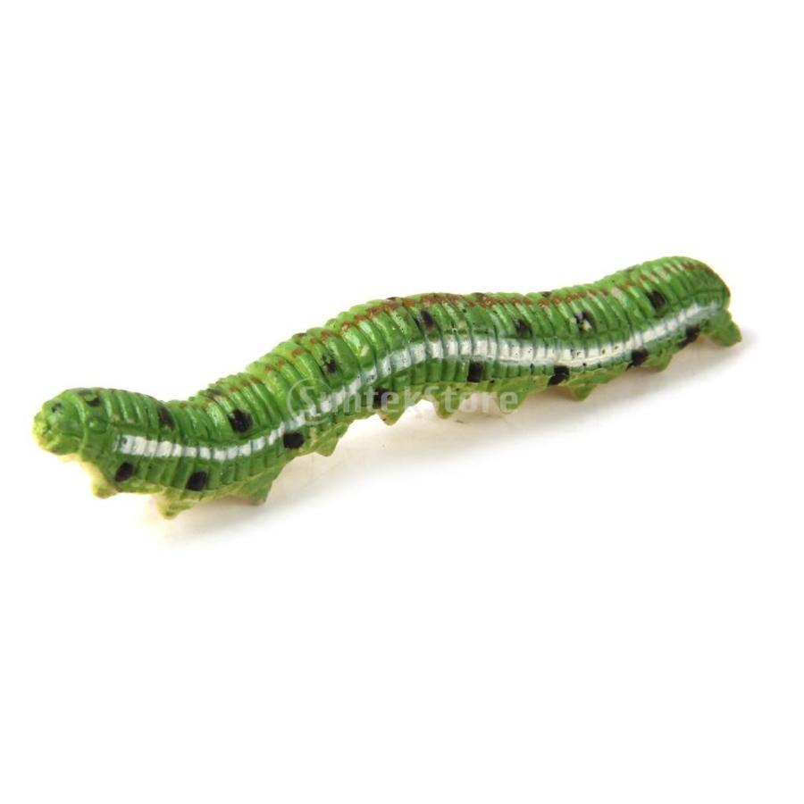 ノーブランド品 虫セット おもちゃ 虫の形 プラスチックワーム いたずら マルチカラー飾り 12ペア 15013300 Stkショップ 通販 Yahoo ショッピング