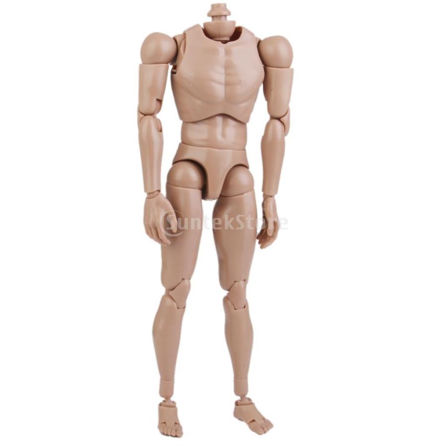 ノーブランド品 1 6サイズ Ttm18 Ttm19用 アクションフィギュア 肩幅の広い男性 Stkショップ 通販 Yahoo ショッピング