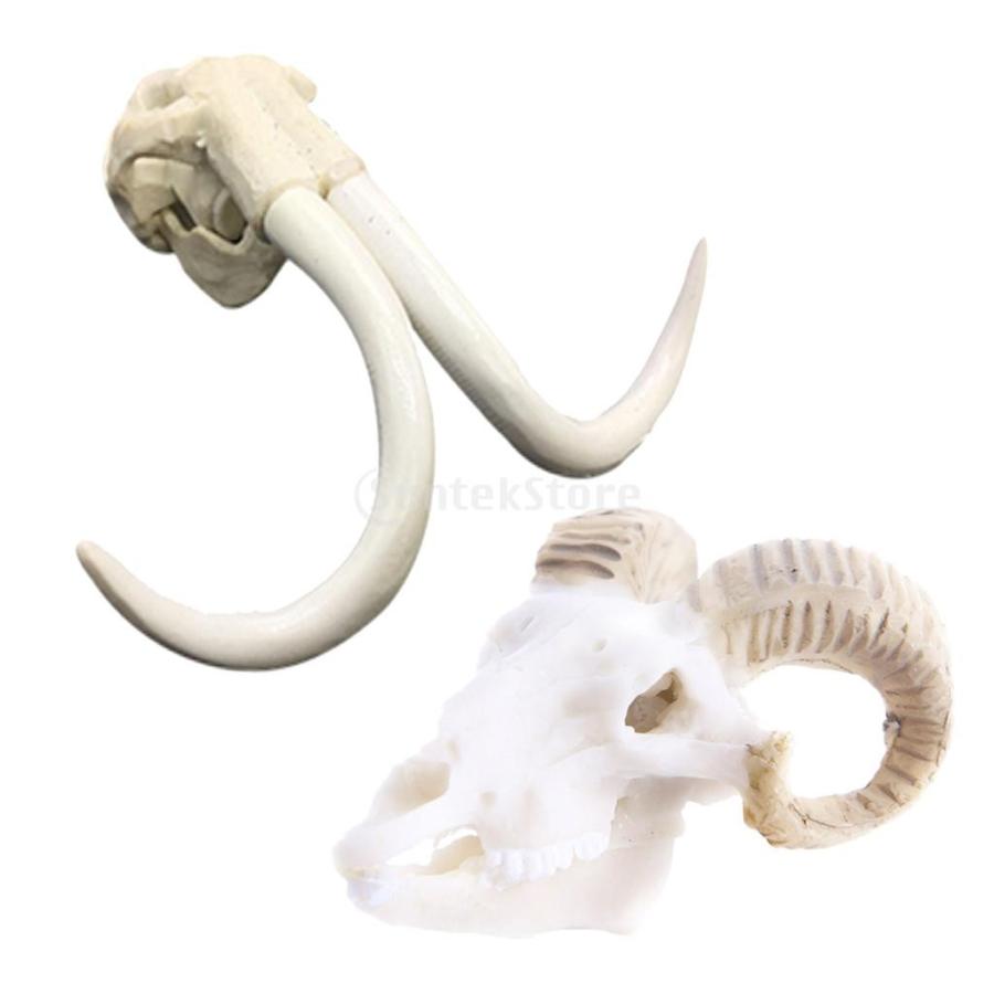 2個 樹脂製 象 ヤギ 頭蓋骨 水族館 水槽 装飾 Stkショップ 通販 Yahoo ショッピング