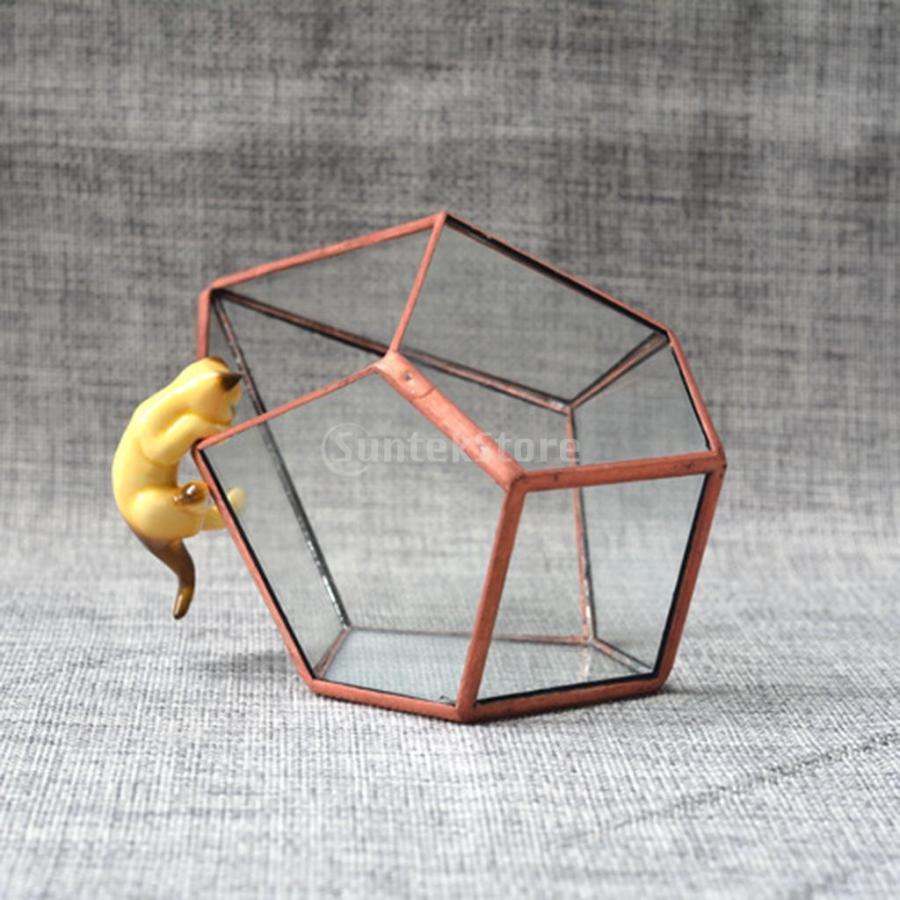 2個 幾何学テラリウム クリア ガラス 植物プランター 収納ボックス 芸術的 古典的 プレゼント｜stk-shop｜12