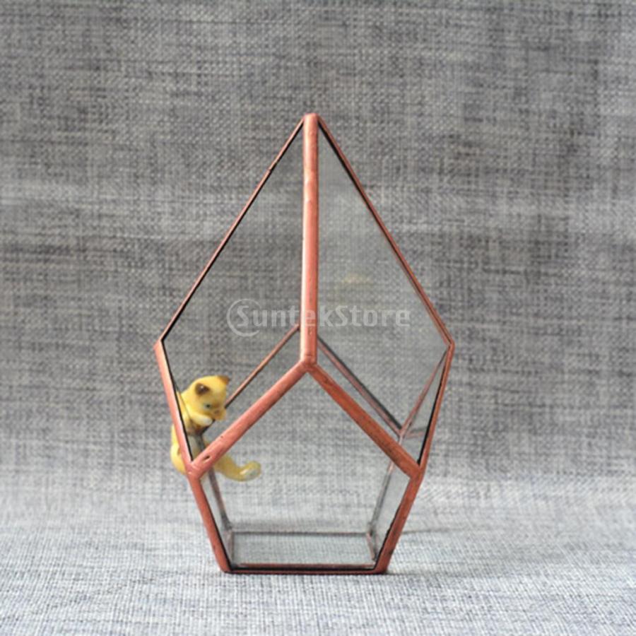 2個 幾何学テラリウム クリア ガラス 植物プランター 収納ボックス 芸術的 古典的 プレゼント｜stk-shop｜14