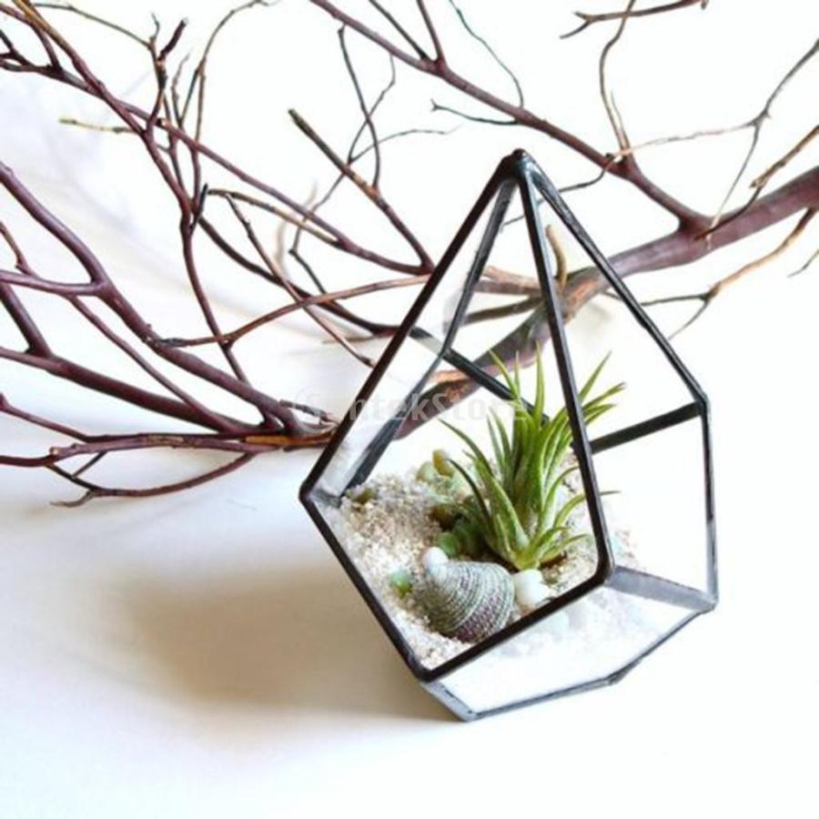 2個 幾何学テラリウム クリア ガラス 植物プランター 収納ボックス 芸術的 古典的 プレゼント｜stk-shop｜15