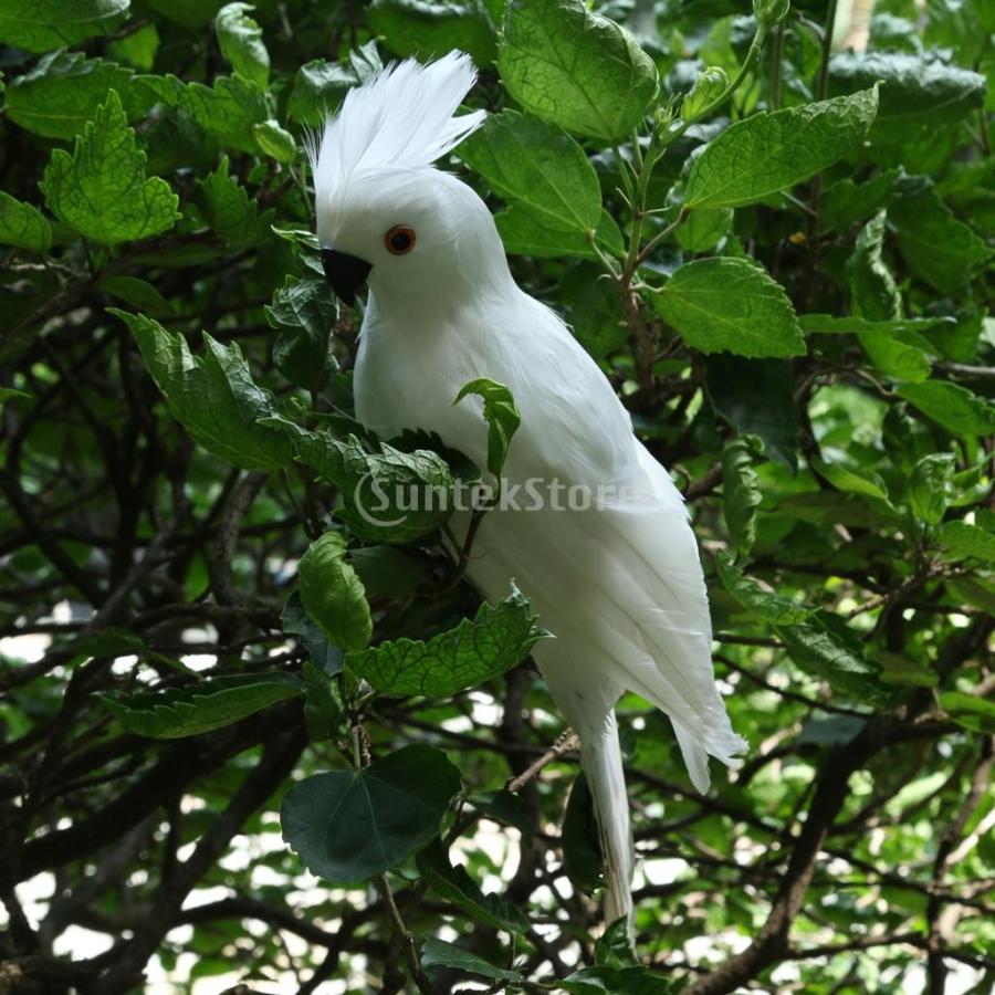 5 好評 鳥の置物 人工オウム 動物モデル 現実的 ガーデン 庭の装飾 インテリア おもちゃ 全9種選択 贈り物 赤 白 Supplystudies Com