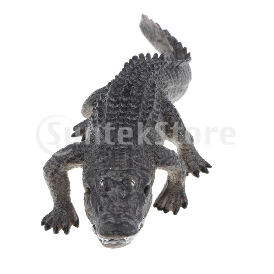 2個入り 動物モデル 動物模型 ワニモデル ワニ模型 インテリア 卓上装飾 フィギュア Stkショップ 通販 Yahoo ショッピング