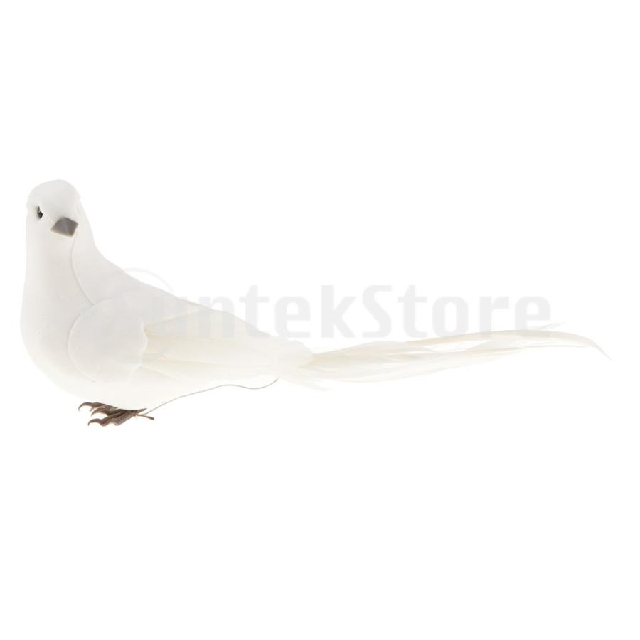 鳩 英語 複数形