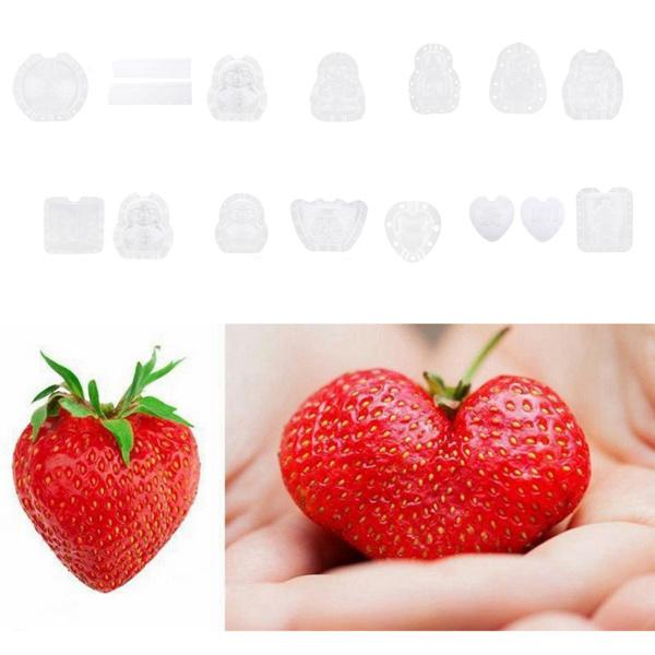 2ピース 2021年春の 個果物成形型果物の成長成形型果物型プラスチック材料キャンディー製造型