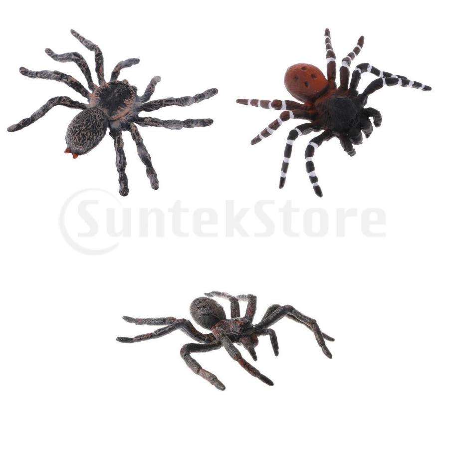 蜘蛛 クモ モデル リアル 動物 フィギュア 知育玩具 科学 自然 写真小道具 パーティー装飾 3個 Stkショップ 通販 Yahoo ショッピング