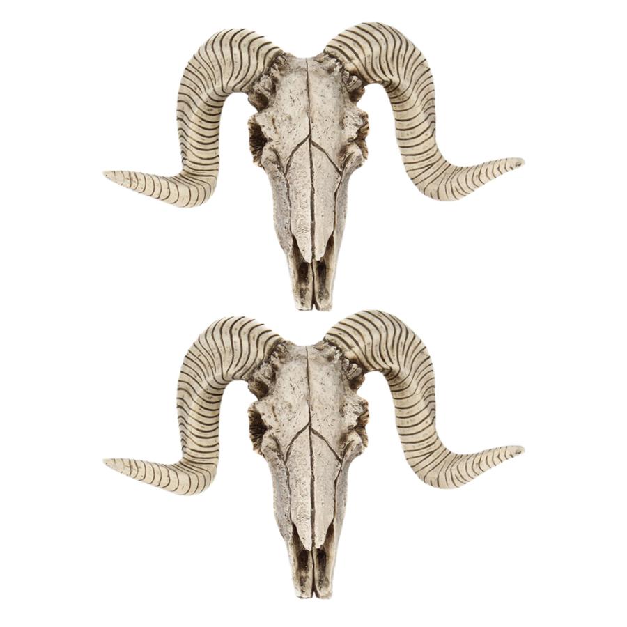 2x頭蓋骨の羊の頭の壁の彫刻動物の頭の壁の装飾工芸品のギフト Stkショップ 通販 Yahoo ショッピング