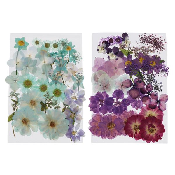 SALE/63%OFF】 72個 押し花 ドライフラワー 花材 セット しおり 3Dネイル パーツ レ デコレーション cisama.sc.gov.br SALE/63%OFF】 72個 押し花 ドライフラワー 花材 セット しおり 3Dネイル パーツ レ デコレーション cisama.sc.gov.br