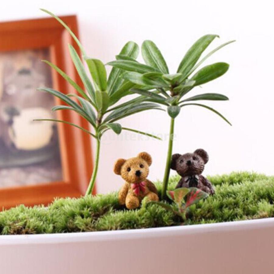 ノーブランド品 ドールハウス ミニチュア 妖精の庭 インテリア 箱庭用 マイクロ風景 盆栽 Diy 装飾 クラフト 小道具 クマ 10個 Stkショップ 通販 Yahoo ショッピング