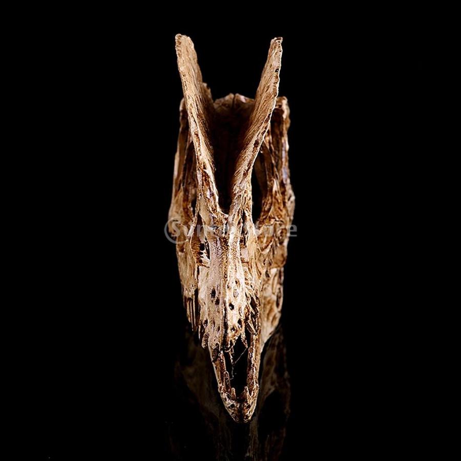 木彫　恐竜　ブラキロフォサウルス頭骨　１/10スケール brand 1/3スケールの恐竜ディオフォサウルス樹脂頭蓋骨モデル