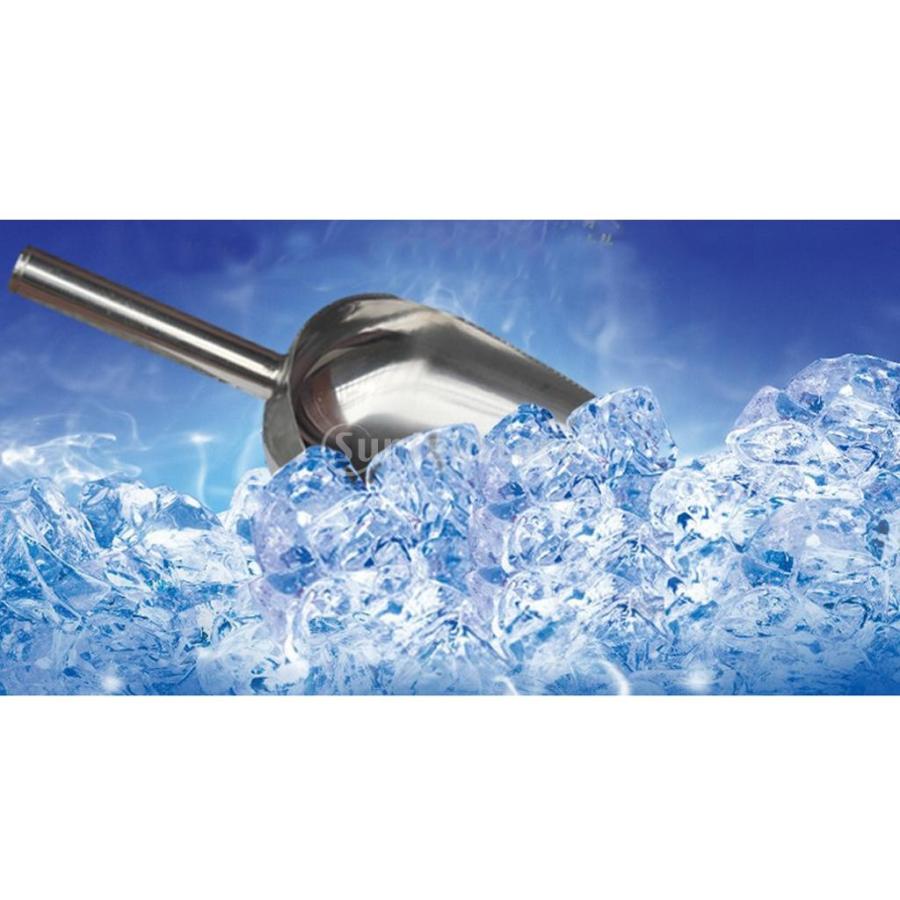 全6サイズ ステンレス シャベル スコップ スクープ 氷スコップ 台所