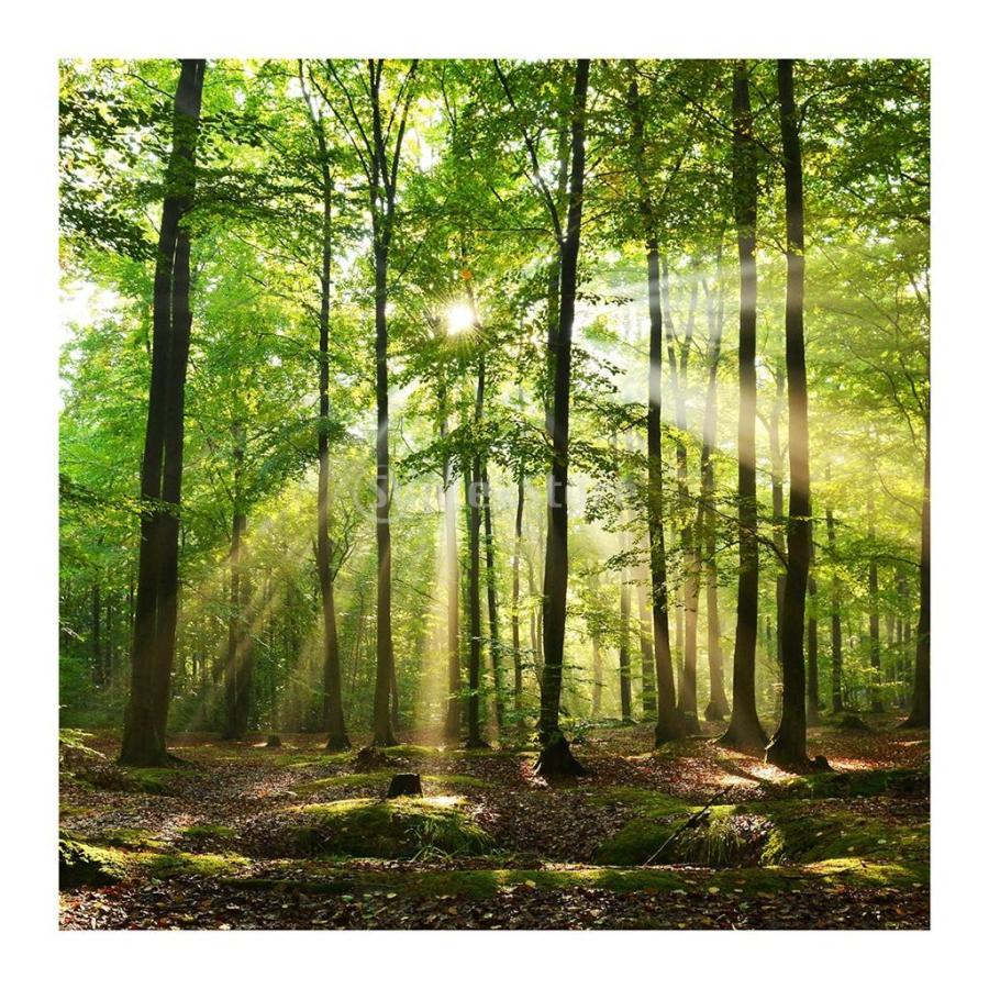 タペストリー 3D 風景 壁掛け 部屋 180*180cm 屋内 屋外用 装飾