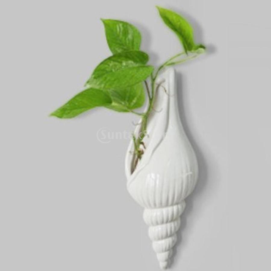 現代的 白い 陶器 海 貝殻形 花 水耕栽培 花瓶 壁 家 装飾 ぶら下げ