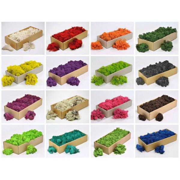 人気ブレゼント 天然乾燥トナカイ苔処理不滅苔工芸diy花の装飾グリーン Babylonrooftop Com Au