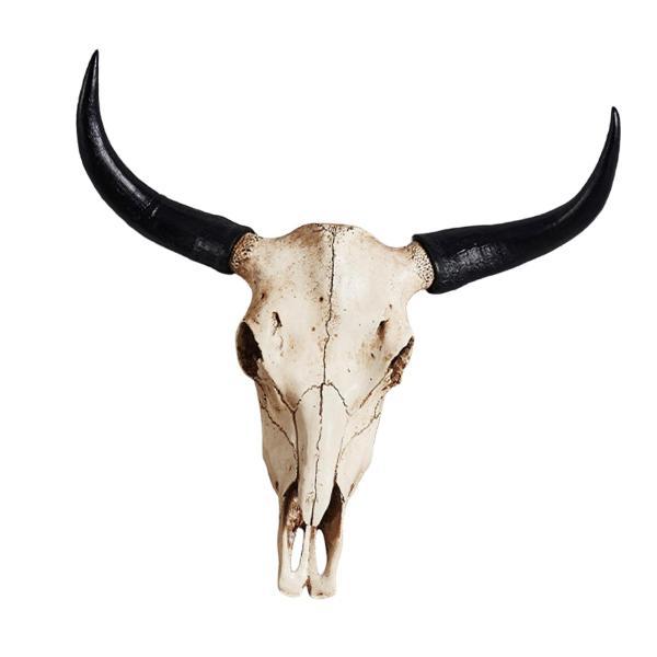 雄牛の頭蓋骨 壁の装飾 牛の頭蓋骨 丈夫なオーナメント 樹脂製の動物の頭 樹脂製の動物の頭蓋骨 雄牛の頭 ギャラリー 暖炉 オフィス ファー｜stk-shop｜06