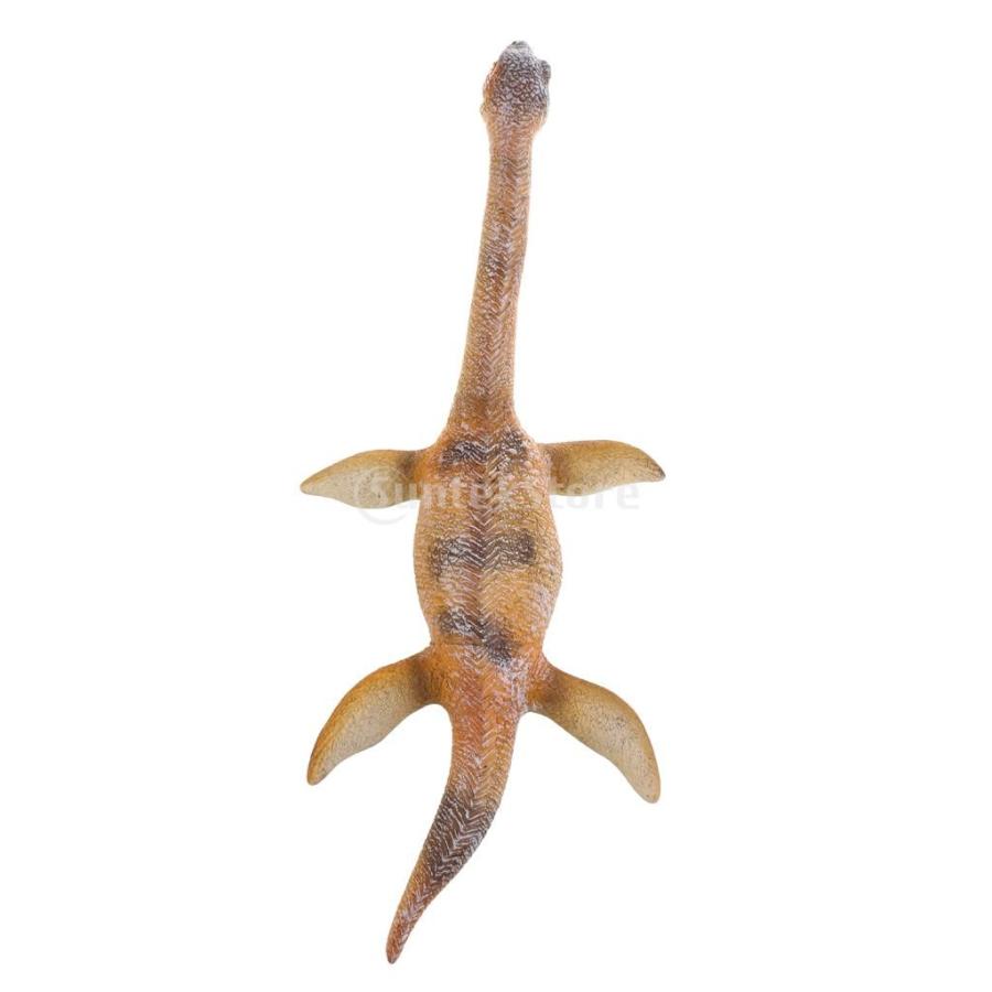 2020年 プレシオサウルス 
1オンス銀貨 Amazon.co.jp: マテル ジュラシックワールド(JURASSIC WORLD