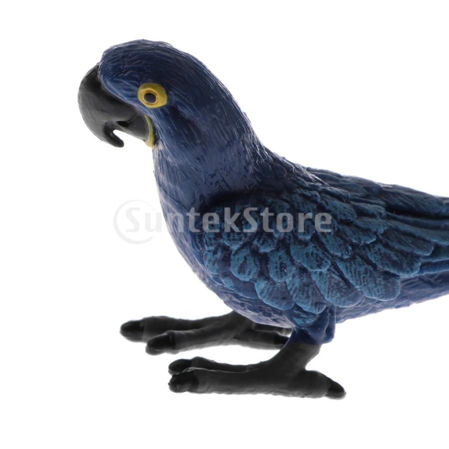 プラスチック製 子ども 科学 自然玩具 リアル 動物モデル 模型 フィギュア インテリア 装飾 種類パック 青オウム Stkショップ 通販 Yahoo ショッピング