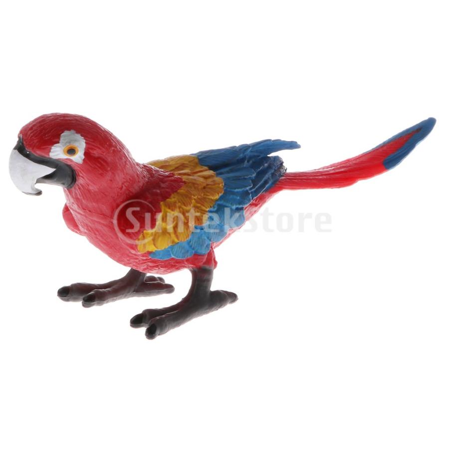 プラスチック製 子ども 科学 自然玩具 リアル 動物モデル 模型 フィギュア インテリア 装飾 種類パック オウム Stkショップ 通販 Yahoo ショッピング