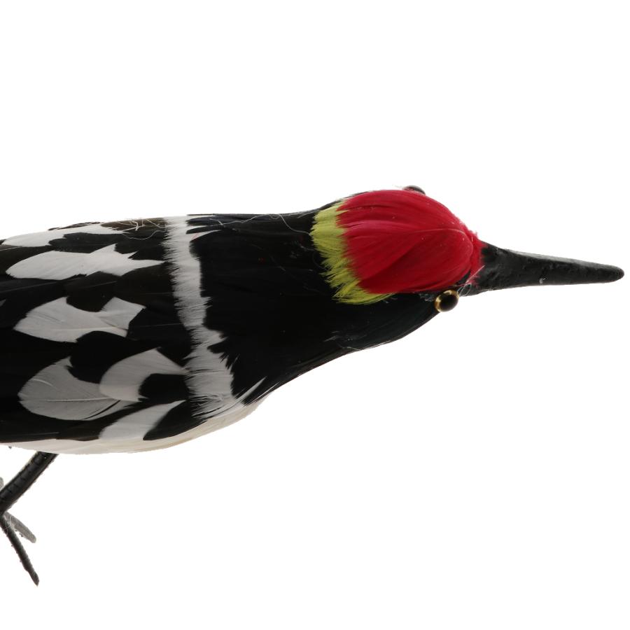 シミュレーション人工羽毛のキツツキの鳥のモデルおもちゃの庭の装飾 Stkショップ 通販 Yahoo ショッピング