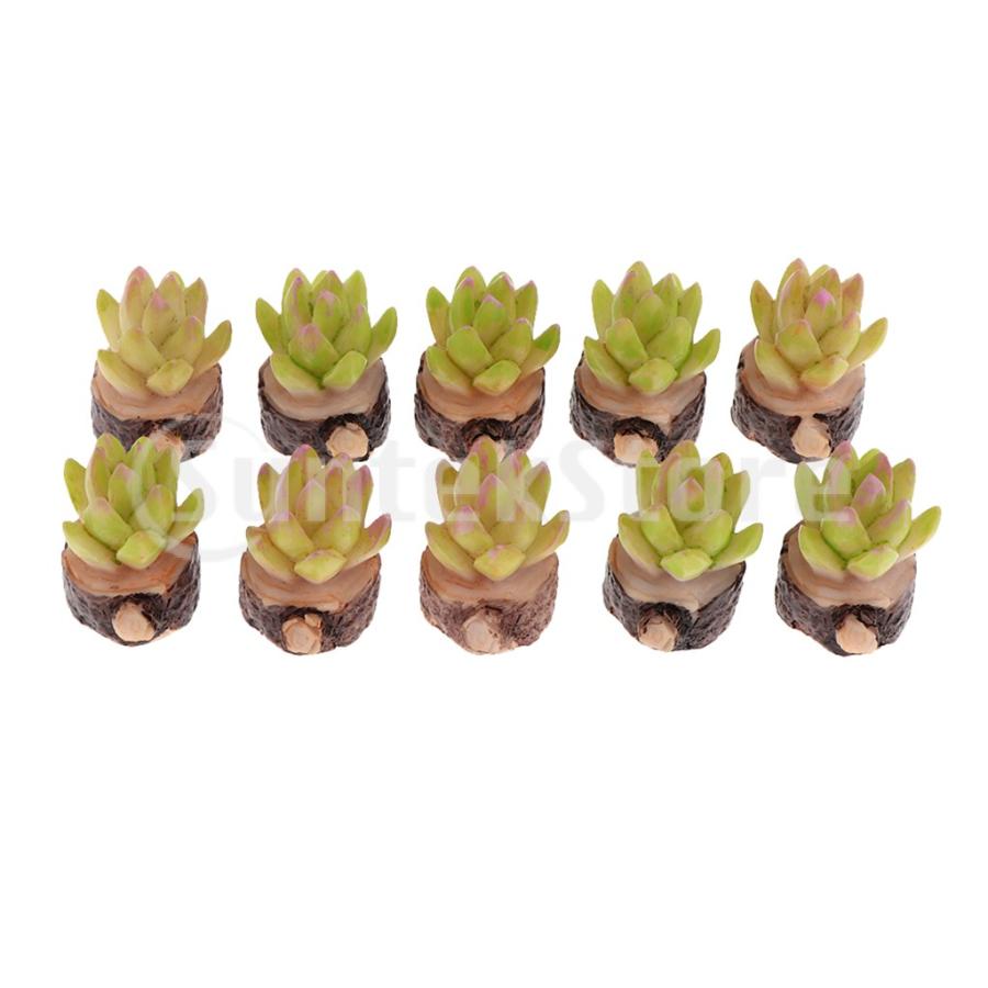 約10個 ドールハウス 初心者 樹脂工芸品 多肉植物 手作りキット ミニチュア アクセサリー 庭飾り Stkショップ 通販 Yahoo ショッピング