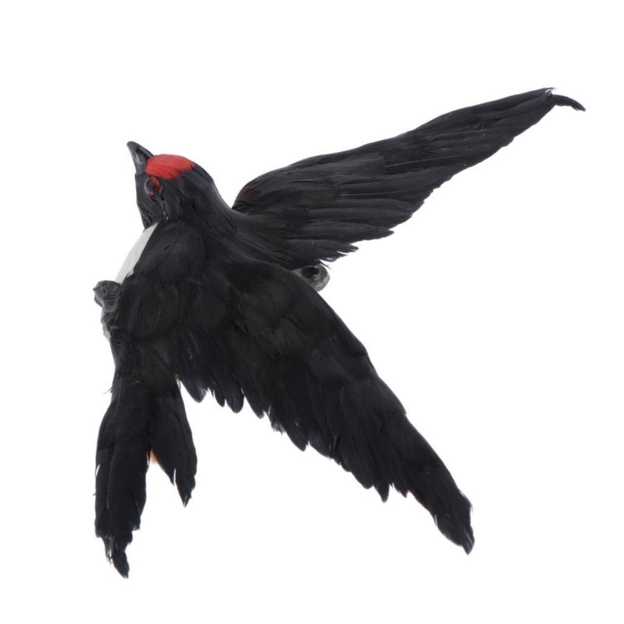 シミュレーション羽ツバメ鳥モデル像キッズおもちゃ家の装飾赤い頭｜stk-shop｜03