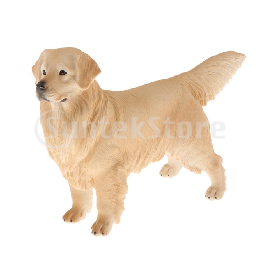 シミュレーション 犬模型 ペット 動物 モデル 置物 教育玩具 家の装飾 ゴールデンドッグ :57039923:STKショップ - 通販 -  Yahoo!ショッピング