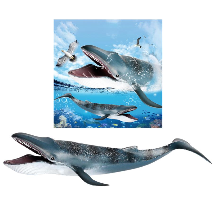 12 インイン インチシロナガスクジラモデルアクションフィギュアpvc海