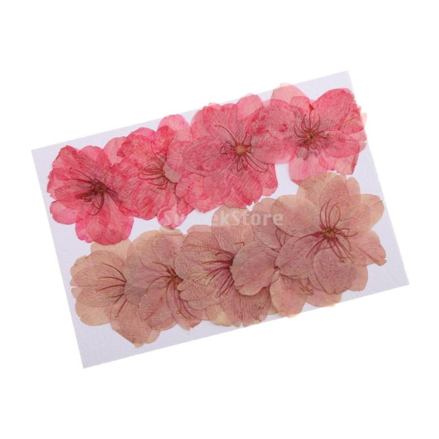 5枚 造花 乾燥植物 リンデン葉 乾燥花 標本花 カード作り ジュエリー素材 Diy 携帯ケース 2セット選べ マルチ 10枚花 4 8 Cm Stkショップ 通販 Yahoo ショッピング