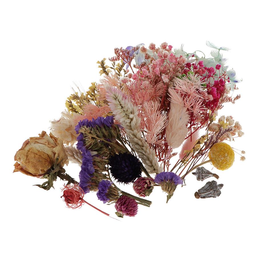 ドライフラワー セット 乾燥花 押し花 花束 ハーバリウム ガーランド 結婚式 パーティー 装飾 Stkショップ 通販 Yahoo ショッピング