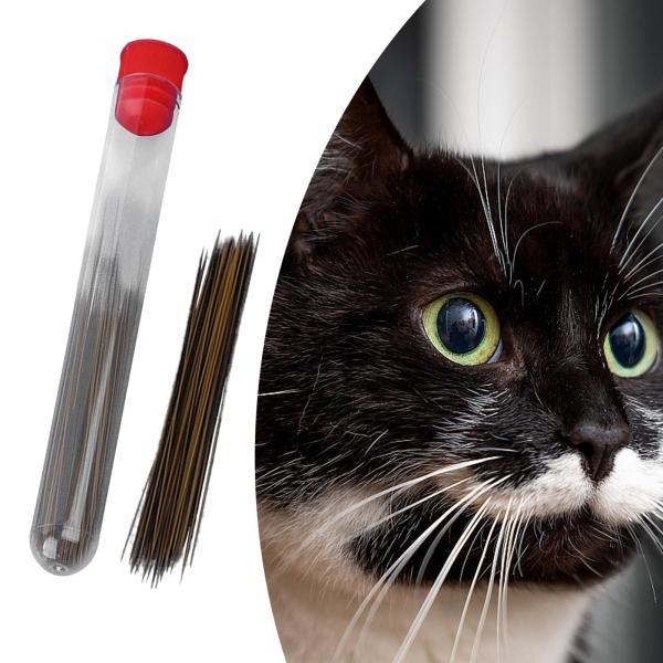 シミュレーション猫のひげ工芸品クラフトキットポータブルアート人工ひげブラックブラウン0.2mm｜stk-shop｜06